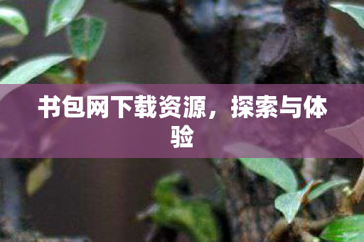 书包网下载资源，探索与体验