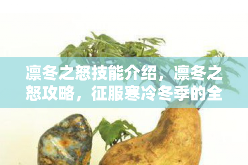 凛冬之怒技能介绍，凛冬之怒攻略，征服寒冷冬季的全方位指南