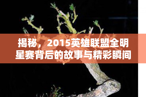 揭秘，2015英雄联盟全明星赛背后的故事与精彩瞬间