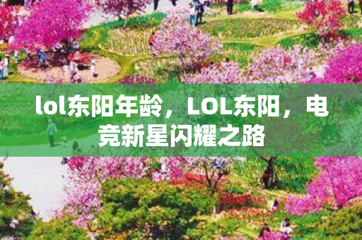 lol东阳年龄，LOL东阳，电竞新星闪耀之路