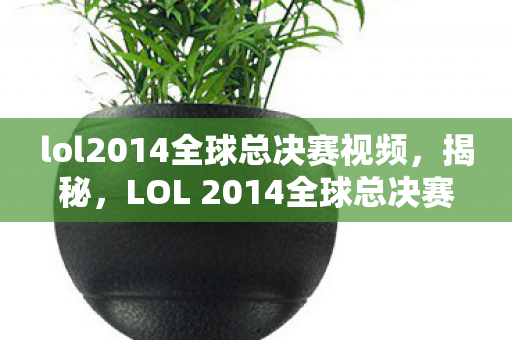 lol2014全球总决赛视频，揭秘，LOL 2014全球总决赛背后的故事