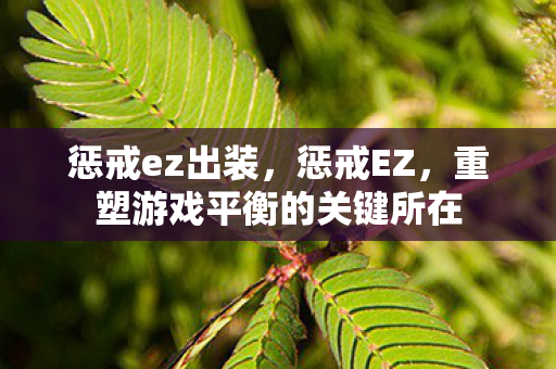惩戒ez出装，惩戒EZ，重塑游戏平衡的关键所在