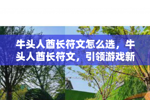 牛头人酋长符文怎么选，牛头人酋长符文，引领游戏新潮流的神秘力量