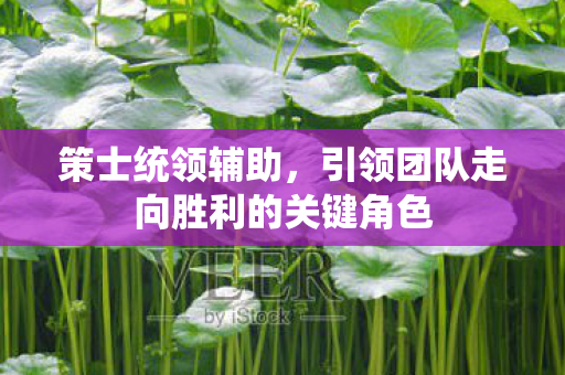 策士统领辅助，引领团队走向胜利的关键角色