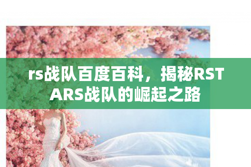rs战队百度百科，揭秘RSTARS战队的崛起之路