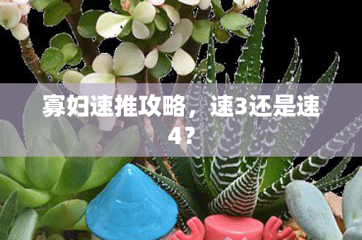 寡妇速推攻略，速3还是速4？