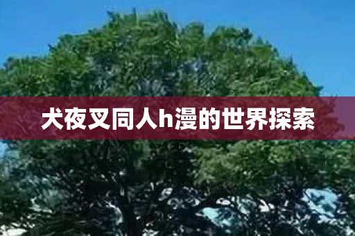 犬夜叉同人h漫的世界探索