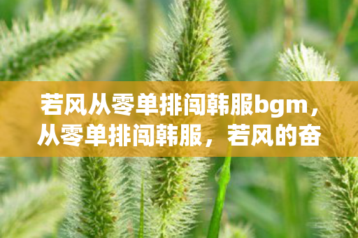 若风从零单排闯韩服bgm，从零单排闯韩服，若风的奋斗之路