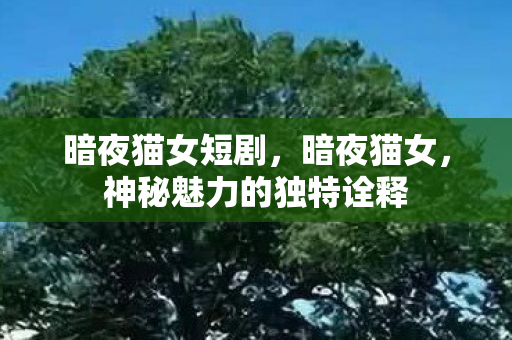 暗夜猫女短剧，暗夜猫女，神秘魅力的独特诠释