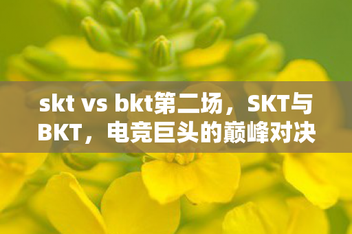 skt vs bkt第二场，SKT与BKT，电竞巨头的巅峰对决