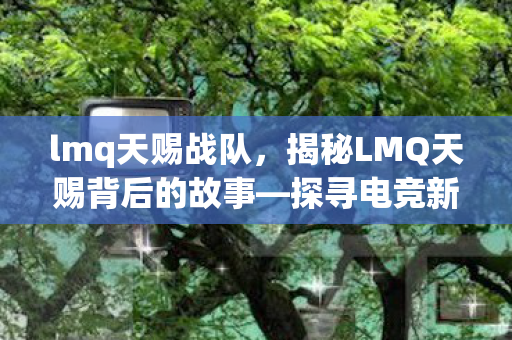 lmq天赐战队，揭秘LMQ天赐背后的故事—探寻电竞新秀的崛起之路