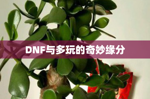 DNF与多玩的奇妙缘分