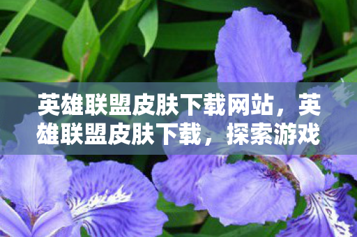 英雄联盟皮肤下载网站，英雄联盟皮肤下载，探索游戏内外的秘密世界