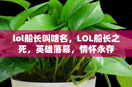 lol船长叫啥名，LOL船长之死，英雄落幕，情怀永存