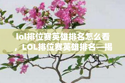 lol排位赛英雄排名怎么看，LOL排位赛英雄排名—揭开最强英雄榜单的神秘面纱
