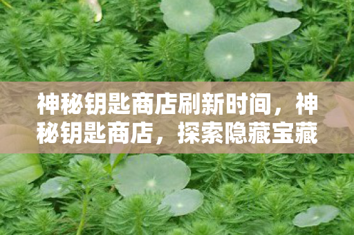 神秘钥匙商店刷新时间，神秘钥匙商店，探索隐藏宝藏的奇幻之旅