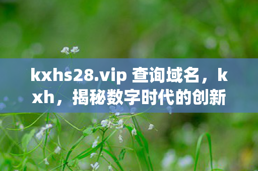 kxhs28.vip 查询域名，kxh，揭秘数字时代的创新与挑战