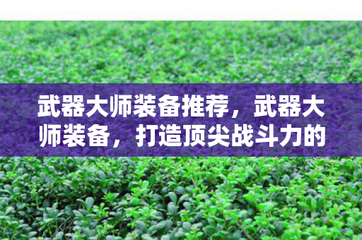 武器大师装备推荐，武器大师装备，打造顶尖战斗力的关键