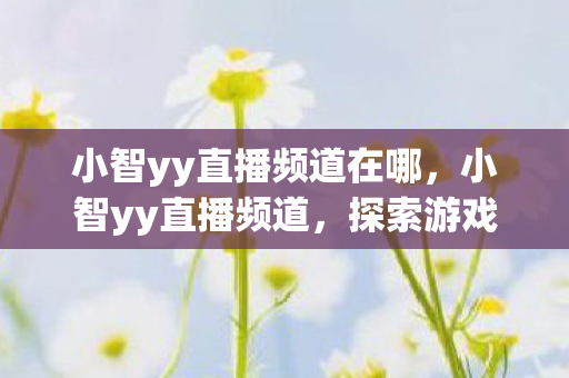 小智yy直播频道在哪，小智yy直播频道，探索游戏世界的新天地
