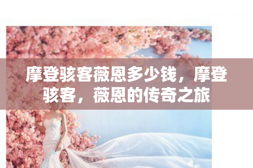 摩登骇客薇恩多少钱，摩登骇客，薇恩的传奇之旅