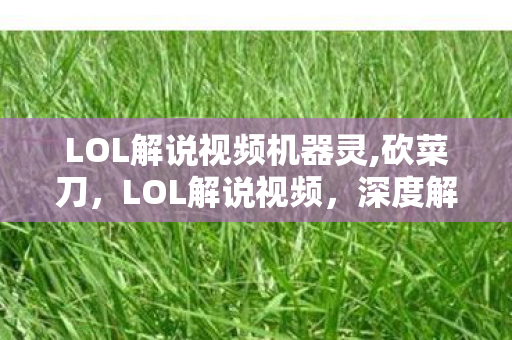 LOL解说视频机器灵,砍菜刀，LOL解说视频，深度解析游戏中的战术与英雄风采