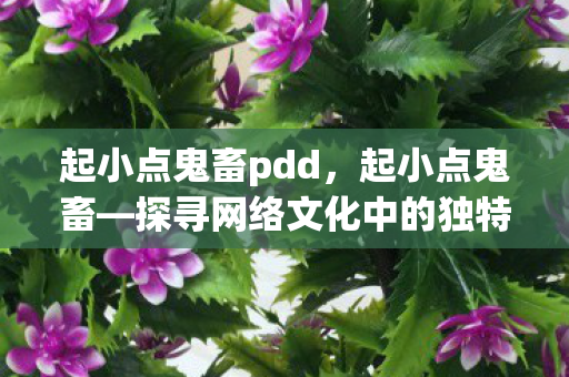 起小点鬼畜pdd，起小点鬼畜—探寻网络文化中的独特魅力