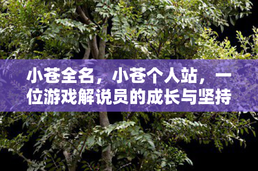 小苍全名，小苍个人站，一位游戏解说员的成长与坚持