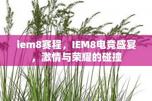 iem8赛程，IEM8电竞盛宴，激情与荣耀的碰撞