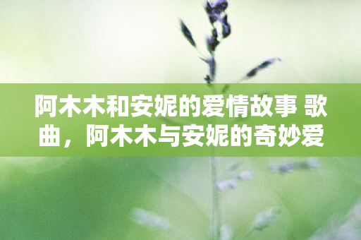 阿木木和安妮的爱情故事 歌曲，阿木木与安妮的奇妙爱情故事