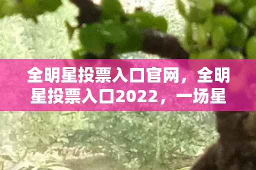 全明星投票入口官网，全明星投票入口2022，一场星光璀璨的盛宴即将开启！
