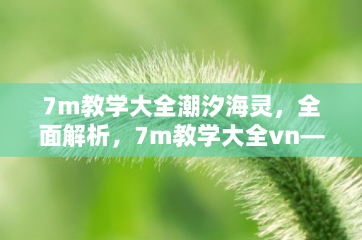 7m教学大全潮汐海灵，全面解析，7m教学大全vn—一站式学习平台