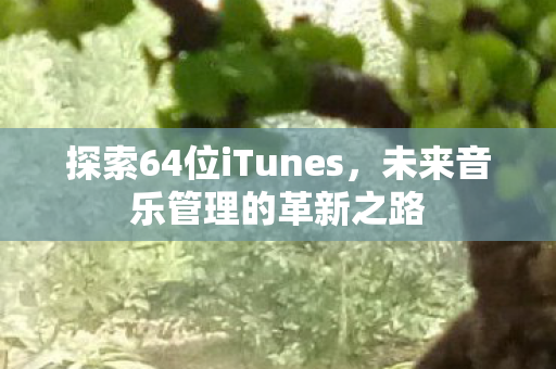 探索64位iTunes，未来音乐管理的革新之路