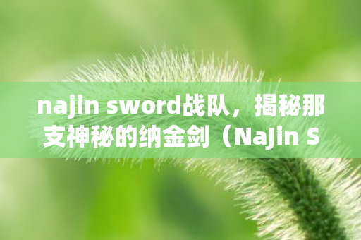 najin sword战队，揭秘那支神秘的纳金剑（NaJin Sword）一支传奇的自媒体故事