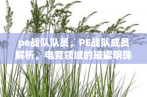 pe战队队员，PE战队成员解析，电竞领域的璀璨明珠