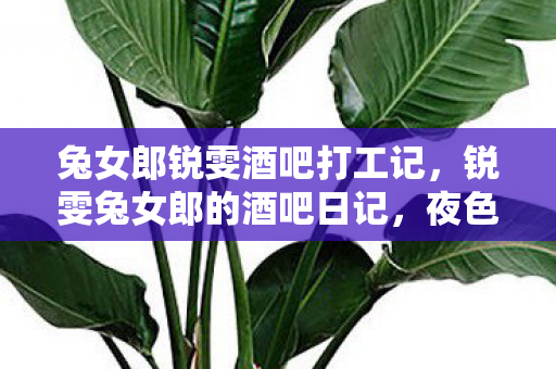 兔女郎锐雯酒吧打工记，锐雯兔女郎的酒吧日记，夜色中的独特风情与激情碰撞