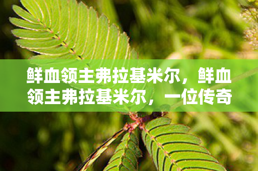 鲜血领主弗拉基米尔，鲜血领主弗拉基米尔，一位传奇人物的故事