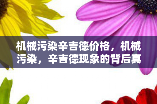 机械污染辛吉德价格，机械污染，辛吉德现象的背后真相