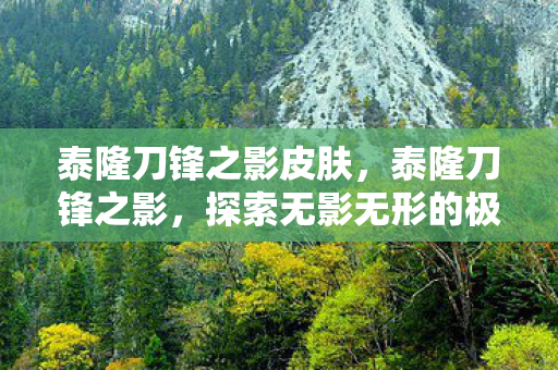 泰隆刀锋之影皮肤，泰隆刀锋之影，探索无影无形的极致技艺