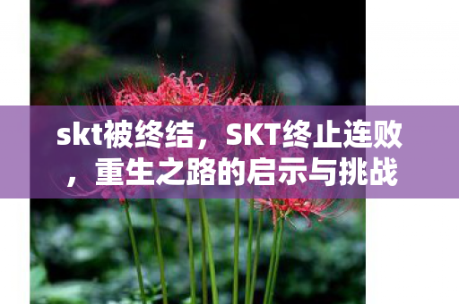 skt被终结，SKT终止连败，重生之路的启示与挑战