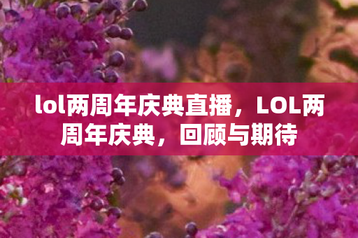 lol两周年庆典直播，LOL两周年庆典，回顾与期待