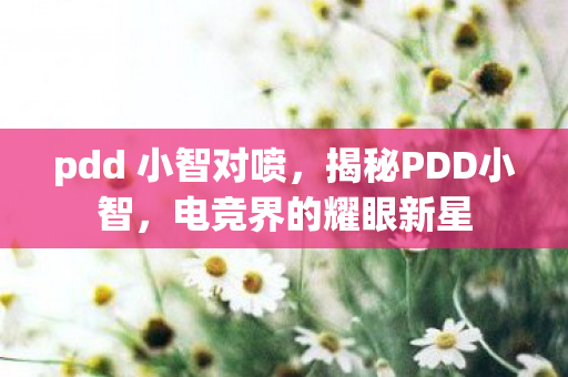 pdd 小智对喷，揭秘PDD小智，电竞界的耀眼新星
