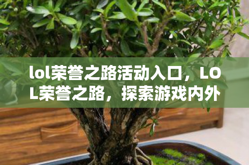 lol荣誉之路活动入口，LOL荣誉之路，探索游戏内外的荣光之路