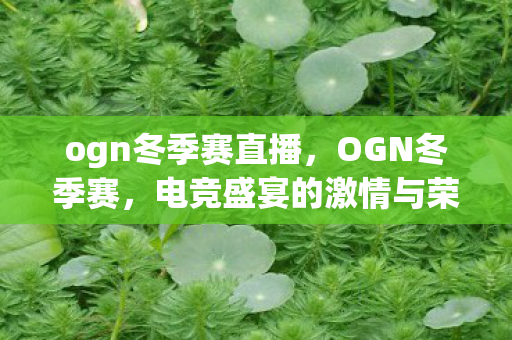 ogn冬季赛直播，OGN冬季赛，电竞盛宴的激情与荣耀
