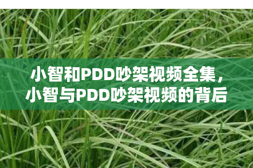 小智和PDD吵架视频全集，小智与PDD吵架视频的背后故事