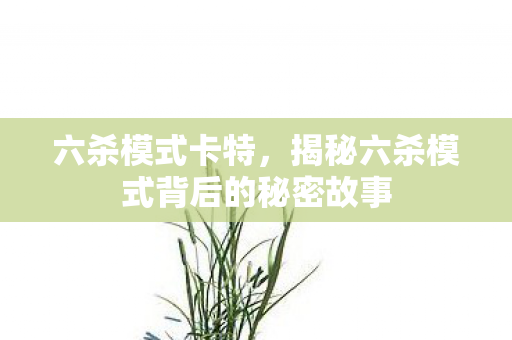 六杀模式卡特，揭秘六杀模式背后的秘密故事