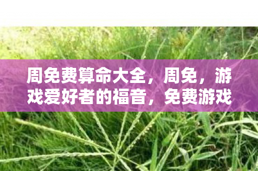 周免费算命大全，周免，游戏爱好者的福音，免费游戏的无限魅力