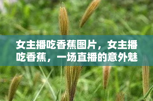 女主播吃香蕉图片，女主播吃香蕉，一场直播的意外魅力