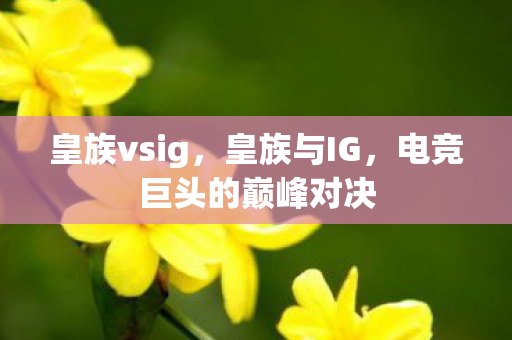 皇族vsig，皇族与IG，电竞巨头的巅峰对决