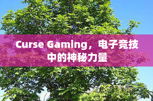 Curse Gaming，电子竞技中的神秘力量
