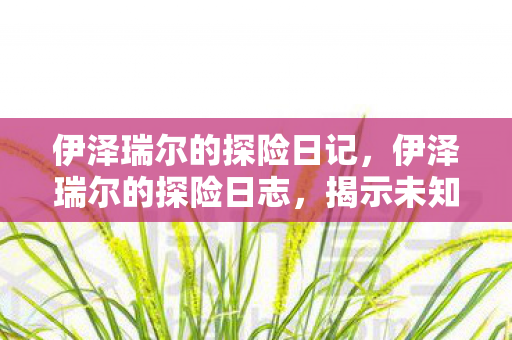 伊泽瑞尔的探险日记，伊泽瑞尔的探险日志，揭示未知的奥秘与冒险的征程
